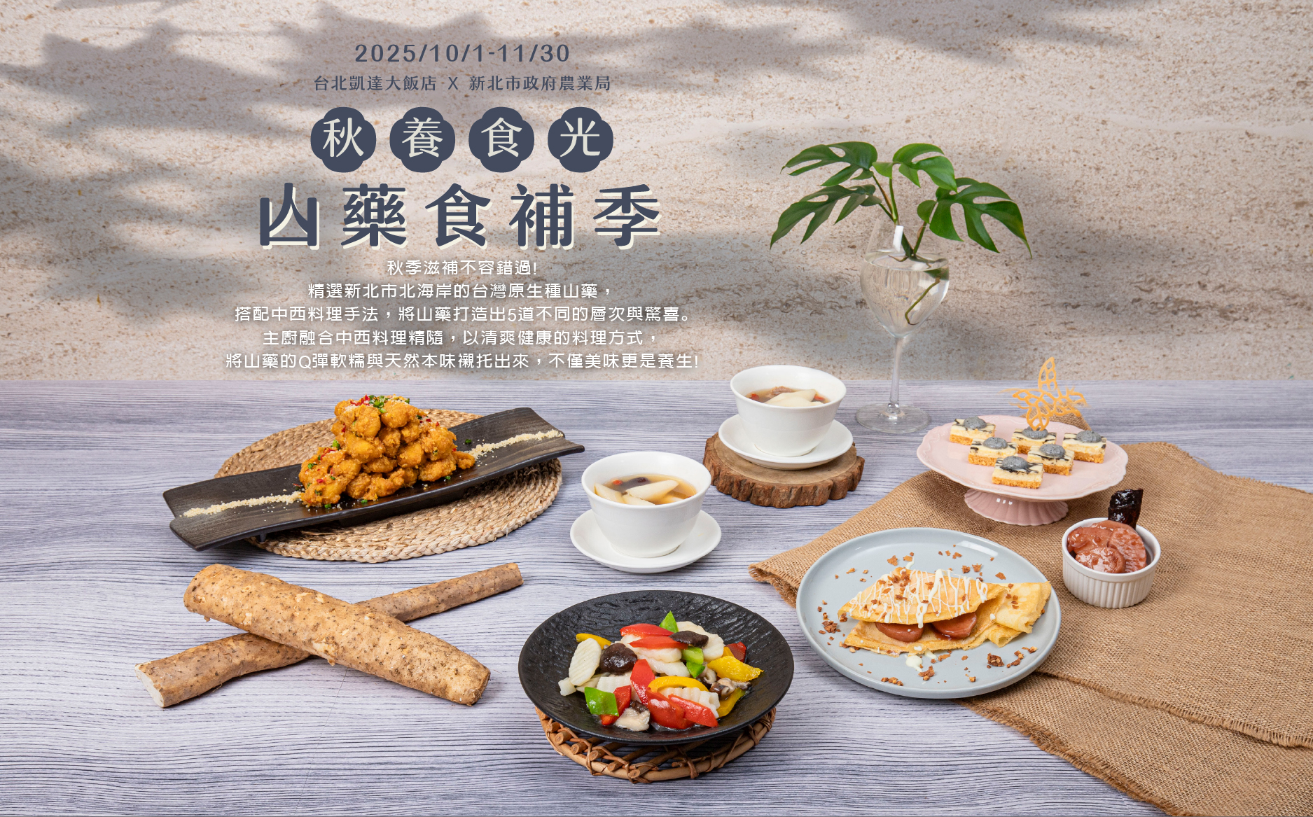 百宴山藥EDM-01_0 百宴山藥EDM-01_0